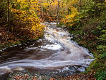 Autumn atmosphere in the Ardennes by Elise van den Boogaart