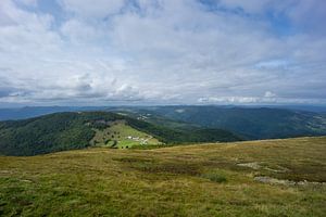 Frankrijk - Eindeloos groen landschap midden in de Franse Vogezen