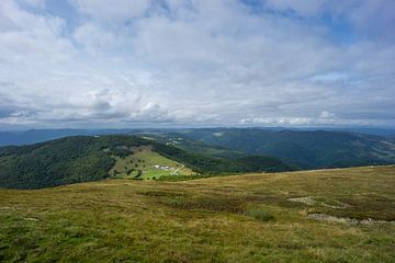 Frankrijk - Eindeloos groen landschap midden in de Franse Vogezen van adventure-photos