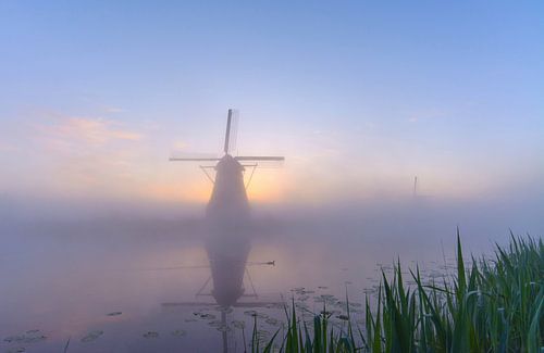 Kinderdijk op z'n mooist!
