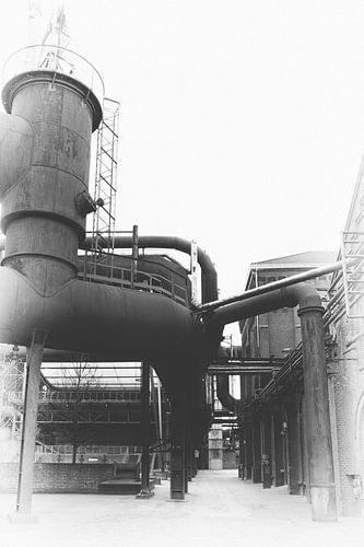 Alone in the industrial park