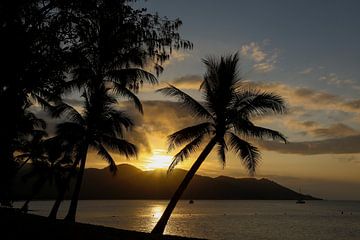 Sonnenuntergang in tropischer Insel, Australien von Marcel van den Bos