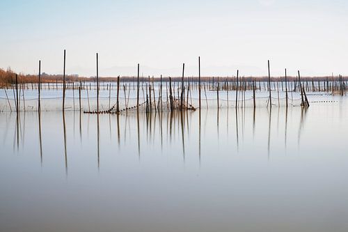 Lac Laguna d' Albufera