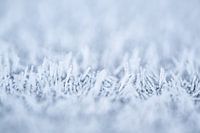 De magie van de vorst, abstracte winterse rijp van dichtbij