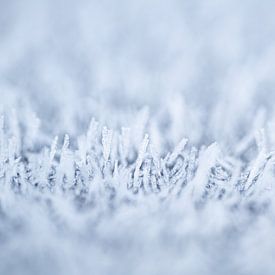 De magie van de vorst, abstracte winterse rijp van dichtbij van Christiaan Poot