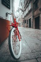Red Bicycle