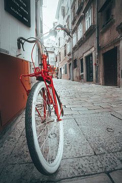 Rotes Fahrrad von PJM Captures