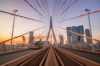 Zonsopkomst Erasmusbrug
