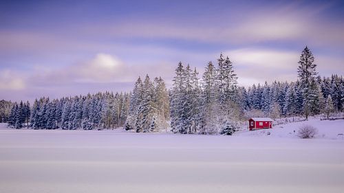 Winter aan de Bärenbrucher vijver in het Harz gebergte