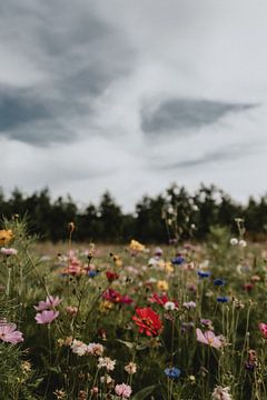 Wilde bloemen van Naturel Fotografie