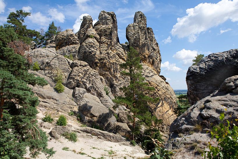 &quot;Hamburger Wappen&quot; - ein Teil der Teufelsmauer in Sachsen-Anhalt von t.ART