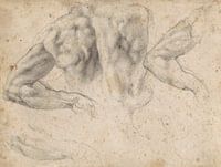 Michelangelo Buonarroti, Studies linkerarm rug, 1524