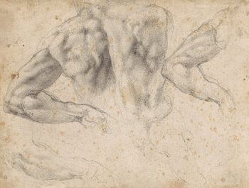 Michelangelo Buonarroti, Studien linker Armrücken, 1524