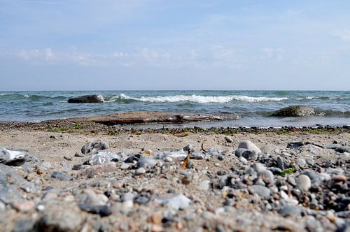 Kust, Oostzee Strand Vitt
