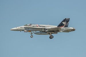 McDonnell Douglas F/A-18C Hornet (Legacy Hornet) bei der Landung auf der NAS Oceana.