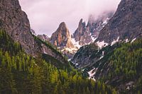 Light in the valley