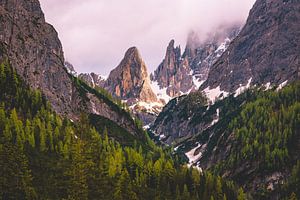 Licht im Tal von michael regeer