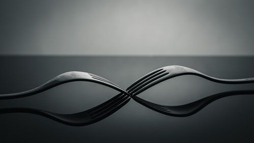 Vorken Zwart & Witte Beeldende Kunst