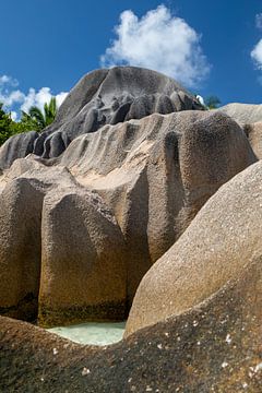 Droomstrand Anse Source d'Argent (La Digue / Seychellen) van t.ART