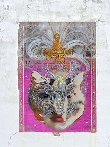 The cat inside the woman