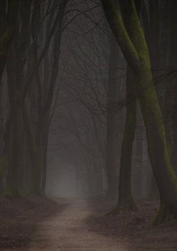 Dark forest by Nienke Bot