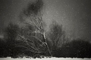L'hiver, PhotoCosma  sur 1x