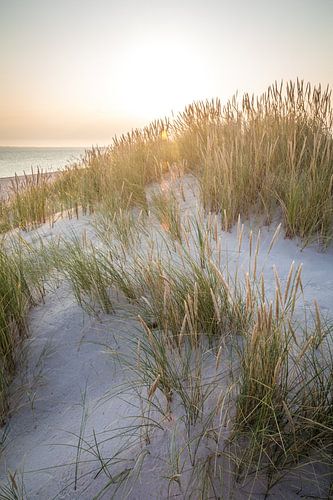 Zonsopgang in de duinen van het natuurgebied Ellenbogen, Sylt
