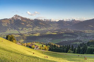 Uitzicht op de Leukenvallei in Tirol van Michael Valjak