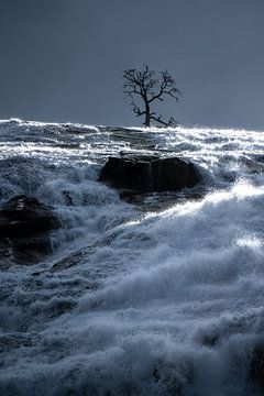 The guardian of the Nyastolfossen by Gerry van Roosmalen
