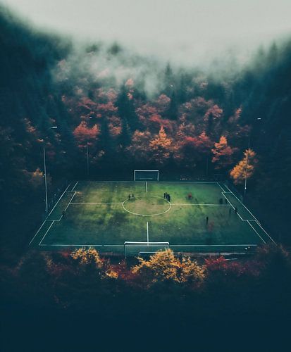 Sports field from the air