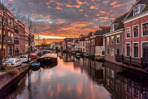 Leiden - Sunrise seen from the goose bridge (0096)