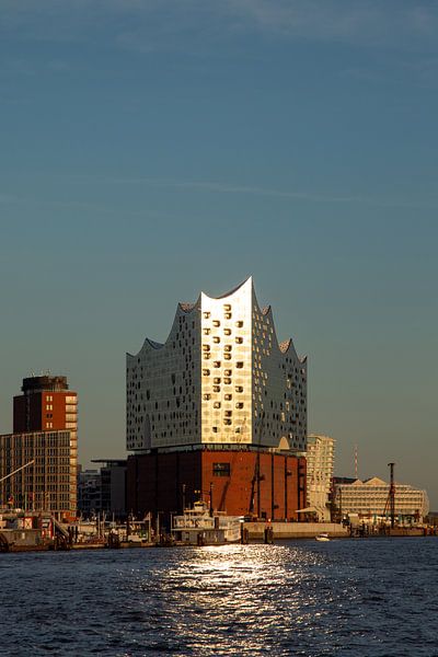 Elbphilharmonie in Hamburg by Dirk Rüter