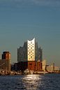 Elbphilharmonie in Hamburg by Dirk Rüter thumbnail