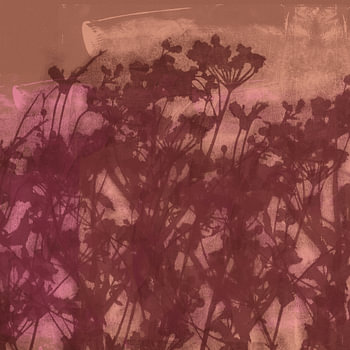Wilde bloemen in chocoladebruin op licht terra.