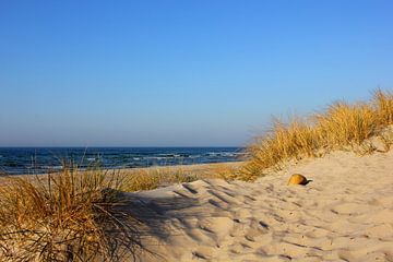 dunes sur Ostsee Bilder
