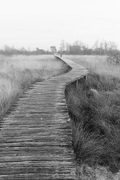 Ein Holzsteg durch die Vergangenheit