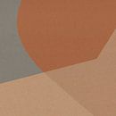Organische en geometrische abstracte vormen nr. 8 van Dina Dankers thumbnail