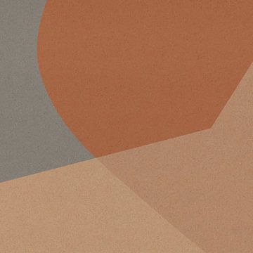 Organische en geometrische abstracte vormen nr. 8 van Dina Dankers