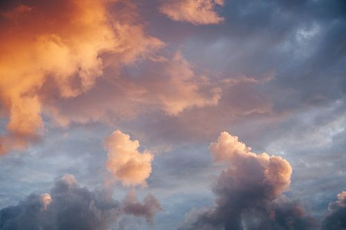 Dramatische zonsondergang tijdens golden hour boven de Flevolandse polder | Fine Art Natuurfotografi