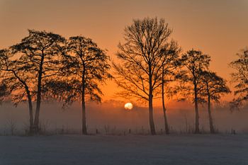 Zonsopkomst in buiten gebied
