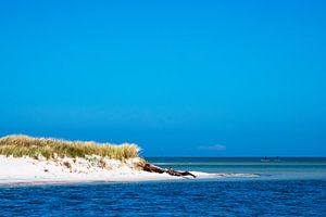 Ostseeküste auf dem Fischland-Darß