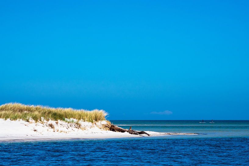 Ostseeküste auf dem Fischland-Darß van Rico Ködder