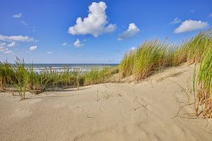 kust met duin strand en zee van eric van der eijk