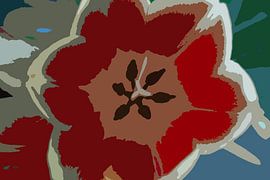 Tulp by Helga van de Kar