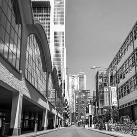 The City of Rotterdam by Emma Groenenboom