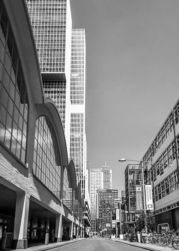 The City of Rotterdam