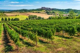 Das Dorf Vignale Monferrato mit seinen Weinbergen, Piemont von Stefano Orazzini