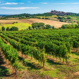 Vignale Monferrato village with vineyards, Piedmont by Stefano Orazzini