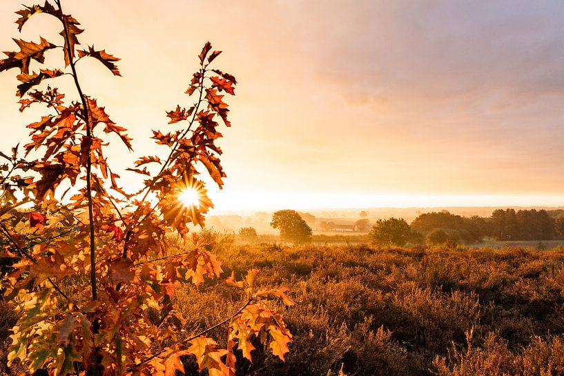 Zonsopgang op de Venusberg van Stories by light
