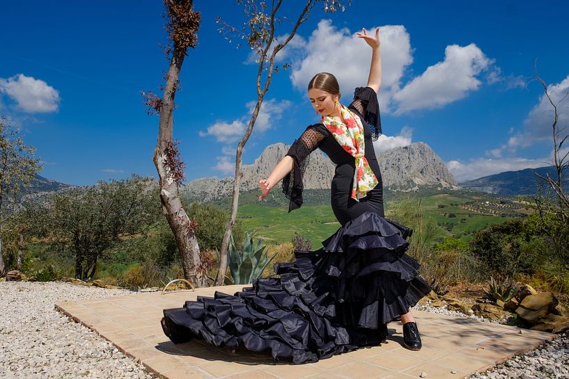 flameco in the mountains 1 by Peter Laarakker